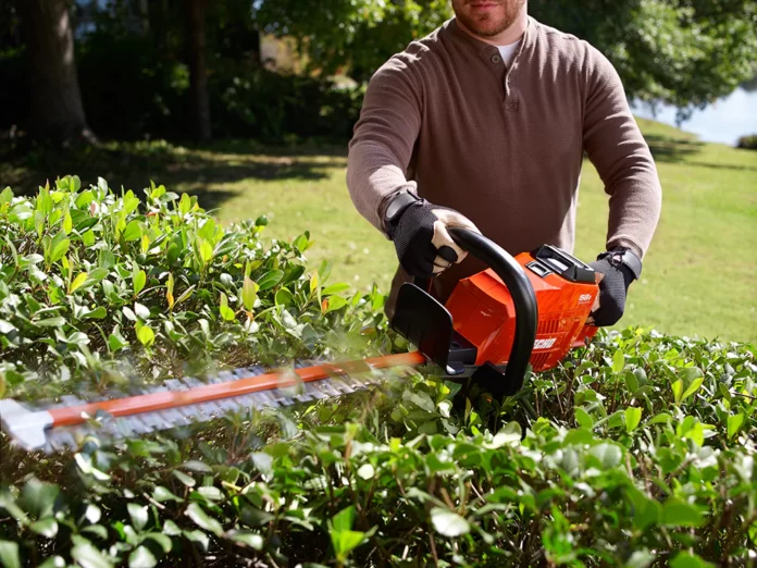 hedge trimmers brisbane