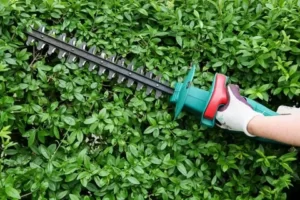 Hedge Trimmers